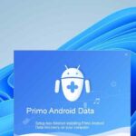 LM Studio: Revoluția Locală a Modelelor de Limbaj