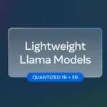 Flanco începe a 14-a ediție de Black Friday