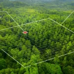 Discord lansează un SDK pentru a revoluționa socializarea în jocuri