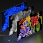 Snipping Tool și Notepad primesc actualizări inovatoare pe Windows 11